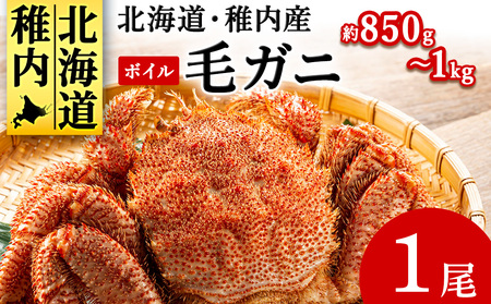 北海道産 毛ガニ 1尾 850g～1kg (ボイル)【2025製造】【配送不可地域