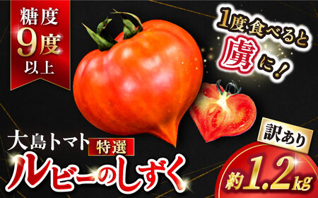 2026年収穫分】トマト訳ありルビーのしずく1.2kg | トマト ／CCK025