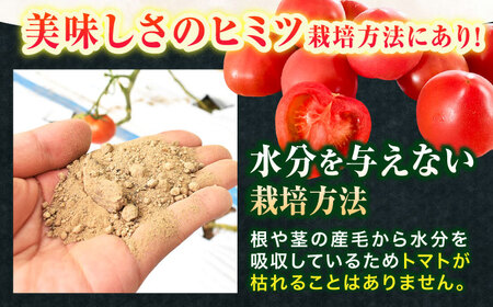 小串トマト 約1kg[OAE001] とまと トマト | 長崎県川棚町 | ふるさと