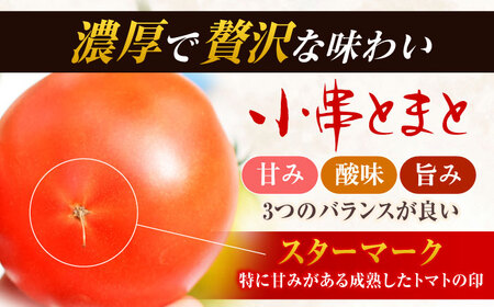 小串トマト 約1kg[OAE001] とまと トマト | 長崎県川棚町 | ふるさと