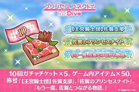 ふるさと納税限定】Cygames プリコネR ゲーム内アイテムセット【cyg3