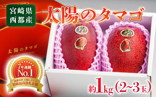 先行予約】糖度15度以上 最高級ブランド『太陽のタマゴ』1㎏程度 宮崎