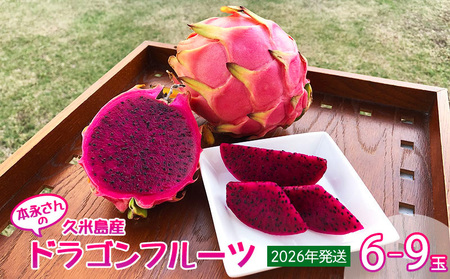 2026年発送】本永さんの久米島産ドラゴンフルーツ 赤6～9玉（2.3kg以上