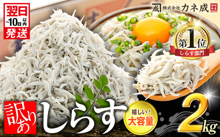 訳あり しらす 2kg 【1箱×2】 訳あり しらす 人気 | 愛知県南知多町