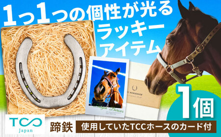 TCCホースシュー 世界に一つだけの蹄鉄 BIAV003 競馬 競馬グッズ