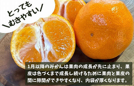 訳あり それでも 有田みかん 箱込 2.5kg (内容量約 2.3kg) 有田みかん