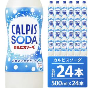 カルピスソーダ（500mL×24本）013-005 | 岡山県総社市 | ふるさと納税