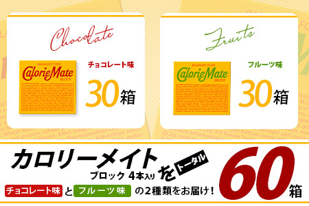 大塚製薬】カロリーメイト ブロック 4本入り チョコレート味30箱＋