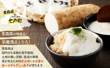 ネバリスター冷凍とろろパック(50g×30個) 【02402-0216】とろろ | 青森