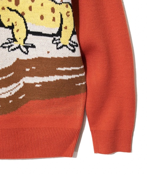 go slow caravan（ゴースローキャラバン）の「レオパードゲッコー