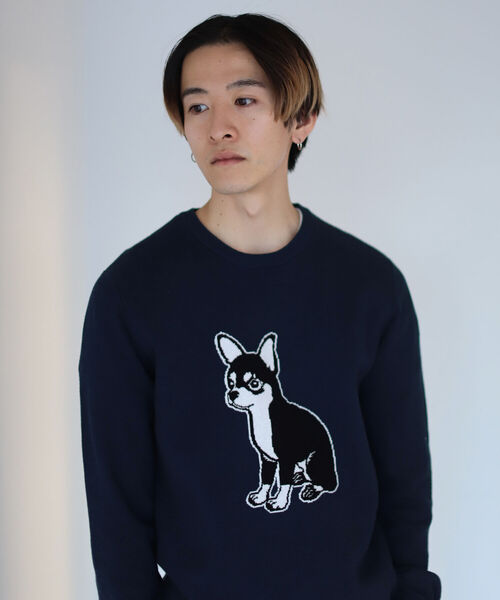 fLAnsisCA（フランシスカ）の「fLAnsisCA / Jacquard knit 21（ニット
