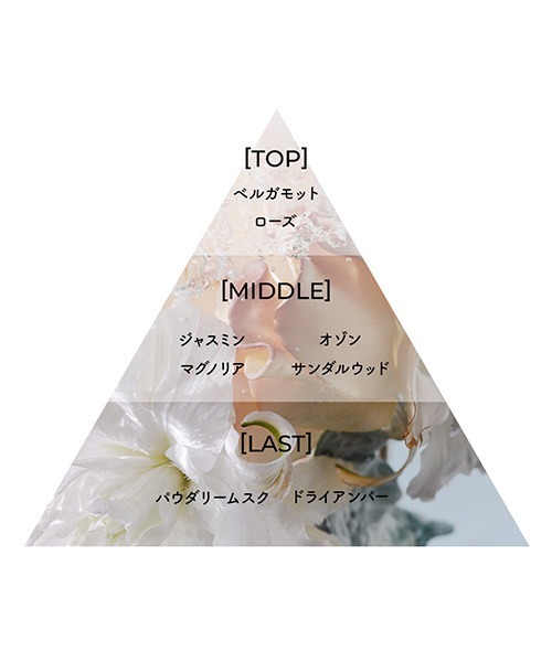 フレグランスチャプター8 50mL（香水）｜Aiam（アイアム）の