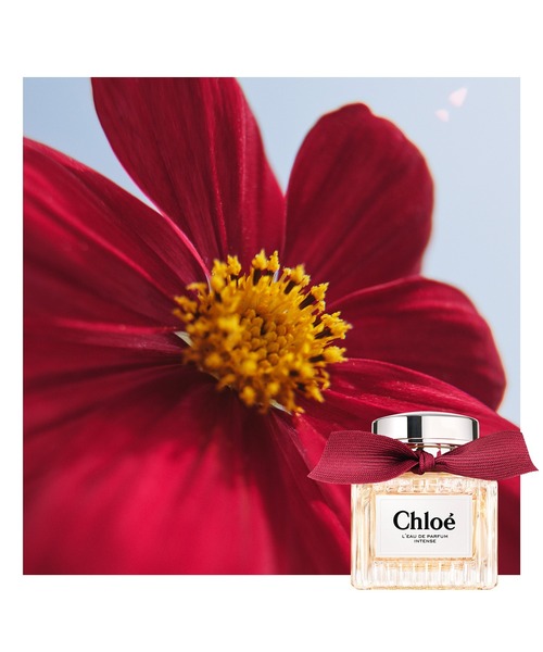 クロエ オードパルファム インテンス 50mL（香水）｜Chloe（クロエ）の