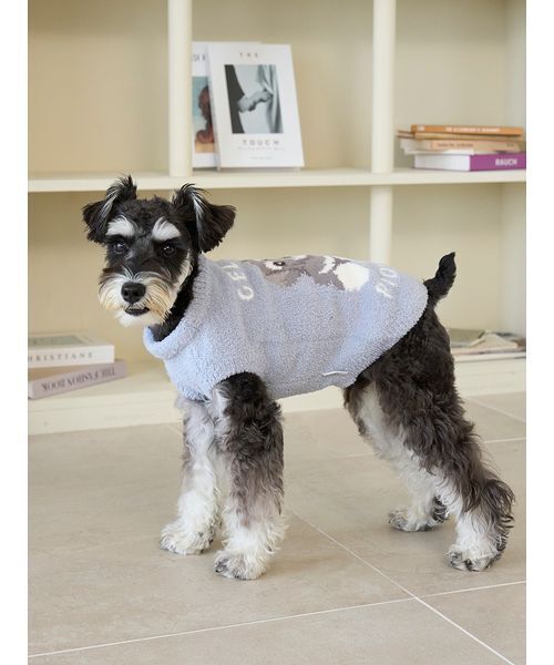 Peek a Boo Santa ピーカーブーシュナウザー Peek a Boo Santa