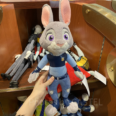 ジュディのパスケース（左側）とニックのパスケース（右側