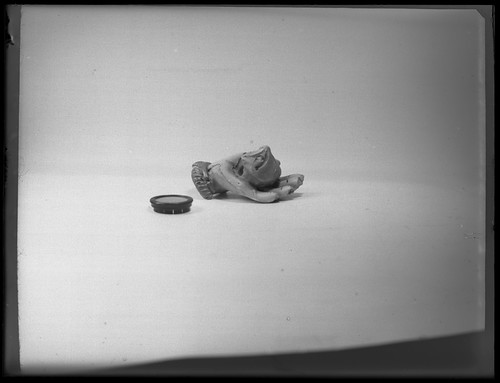 Photo-Analogue: Butcher's 