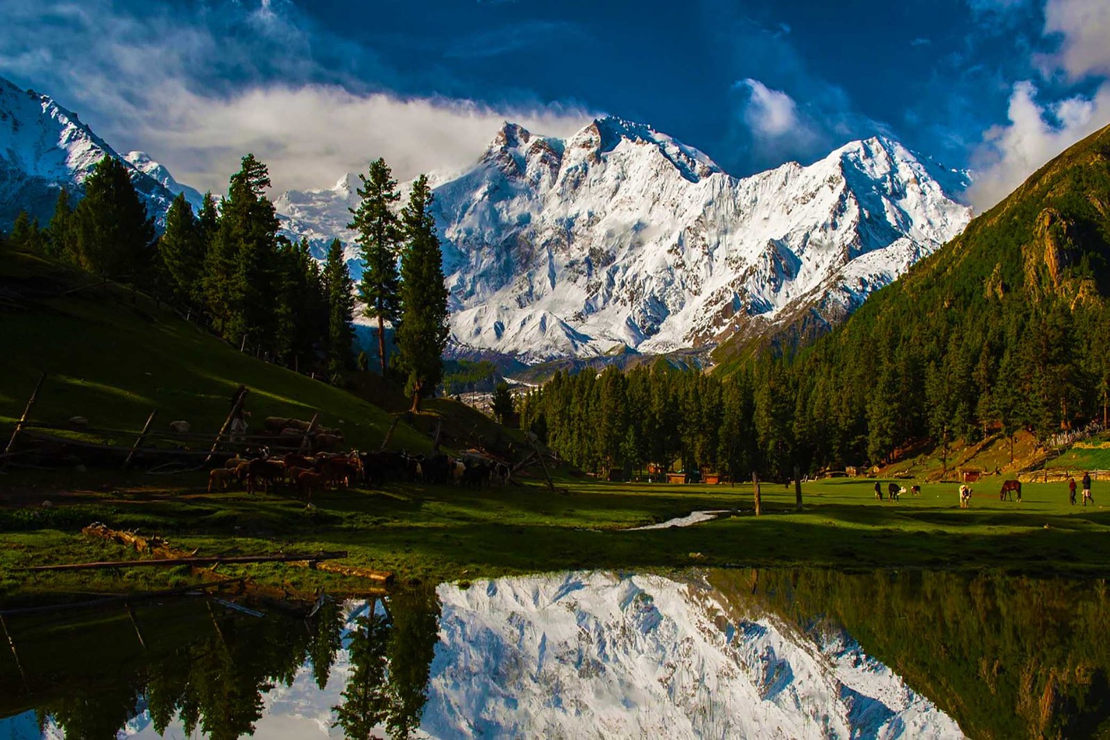 パキスタンヒマラヤトレッキング - 最安値 - 2026 - Chogori Adventure