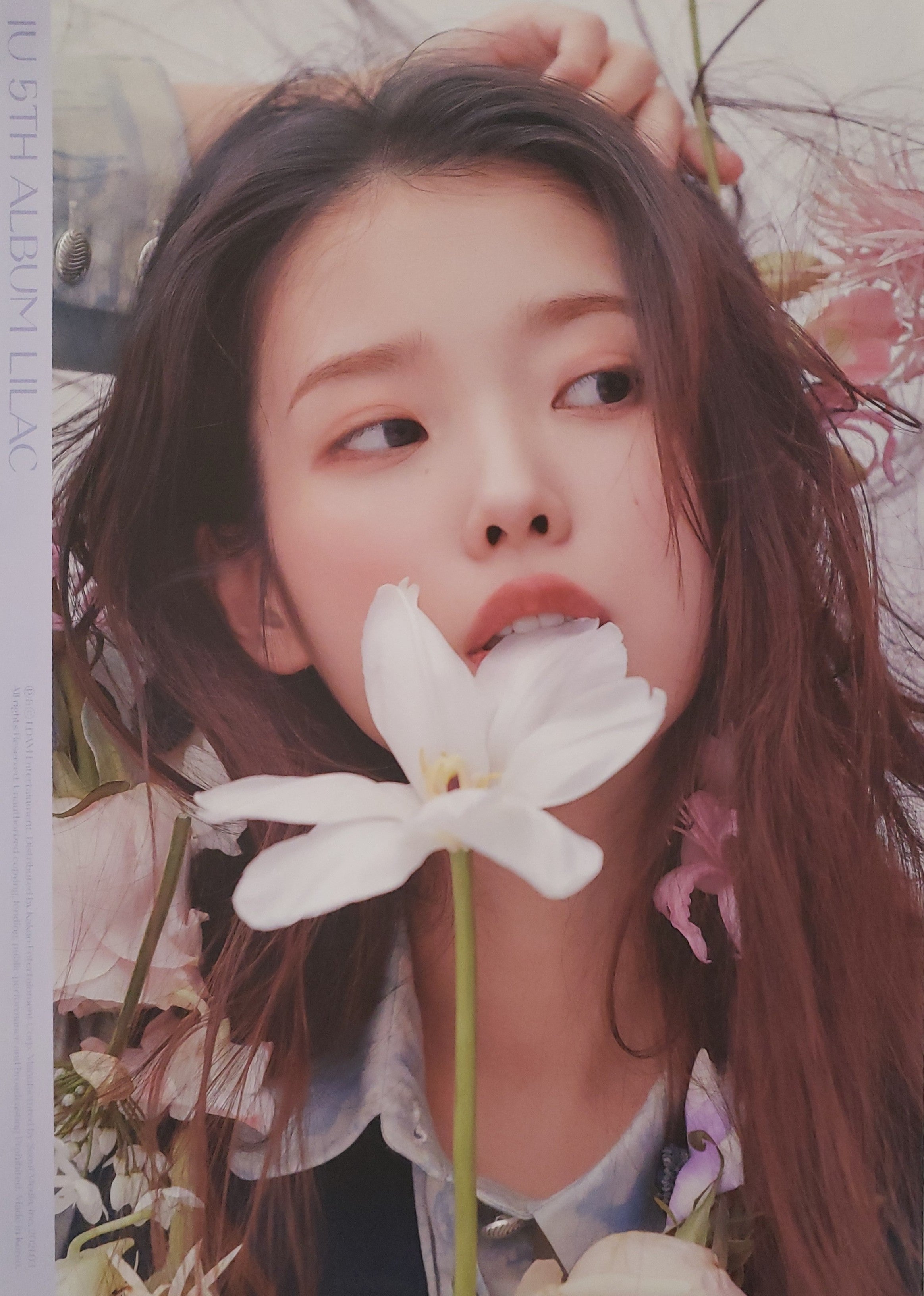 IU 5th Album LILAC Official Poster - Photo Concept Hilac – Choice