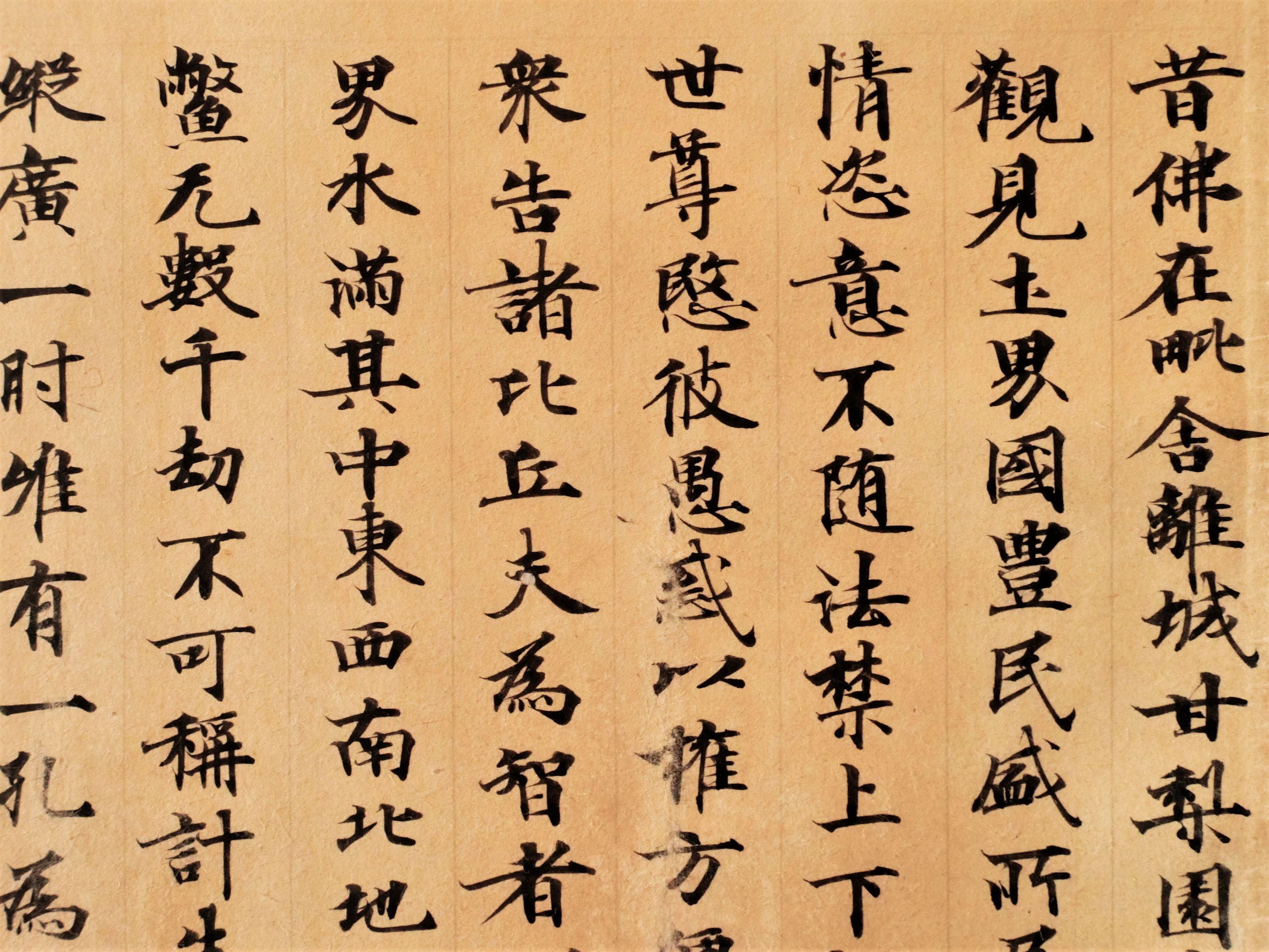 作品詳細: 天平経 出曜経断簡