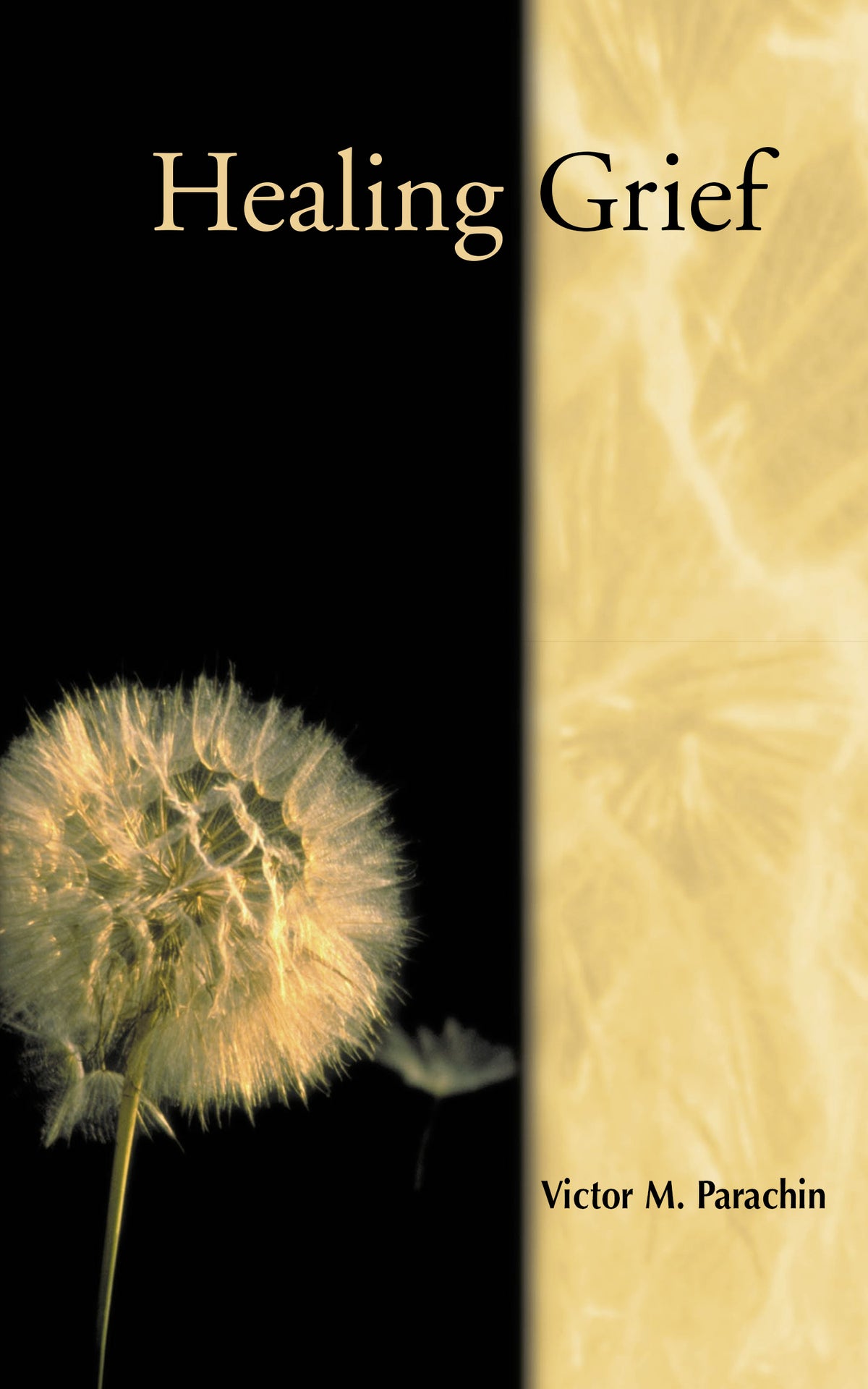 Healing Grief — Chalice Press