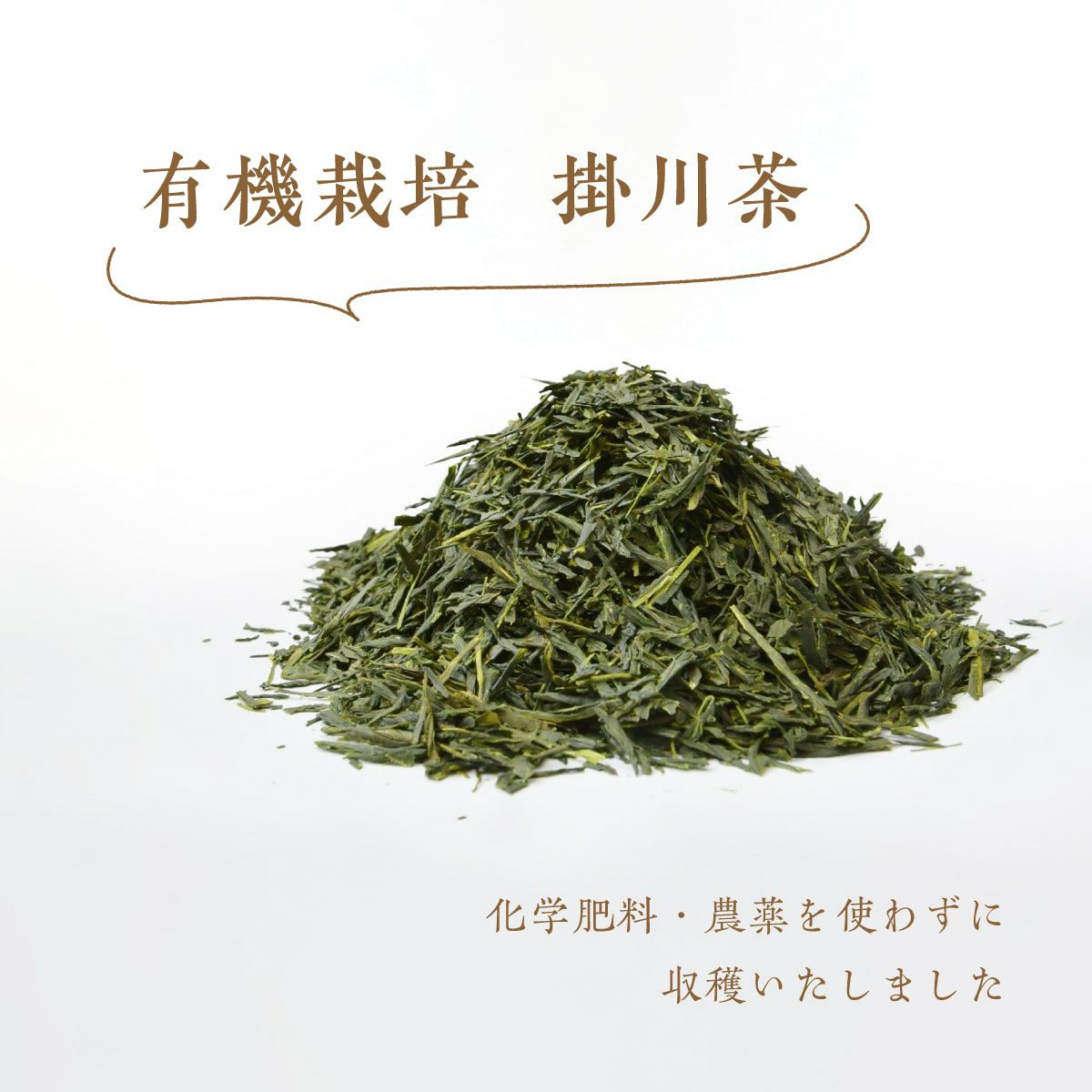地の和 オーガニック掛川茶 100g | 茶の庭オンラインショップ