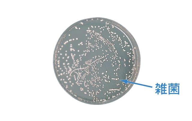 LES | シャンソン化粧品