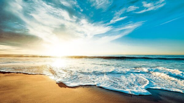 B.CARE MASK | シャンソン化粧品