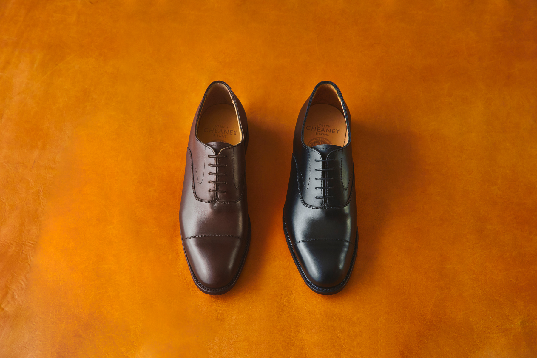 ジョセフ チーニー ディクショナリー #2 | JOSEPH CHEANEY