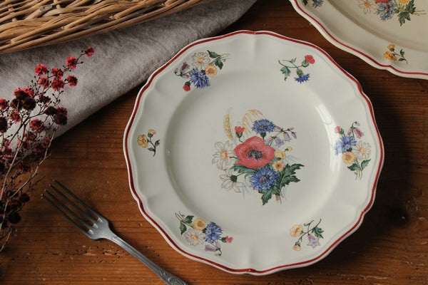 希少‼️フレンチアンティークDIGOINディゴワンサルグミンヌプレート3枚