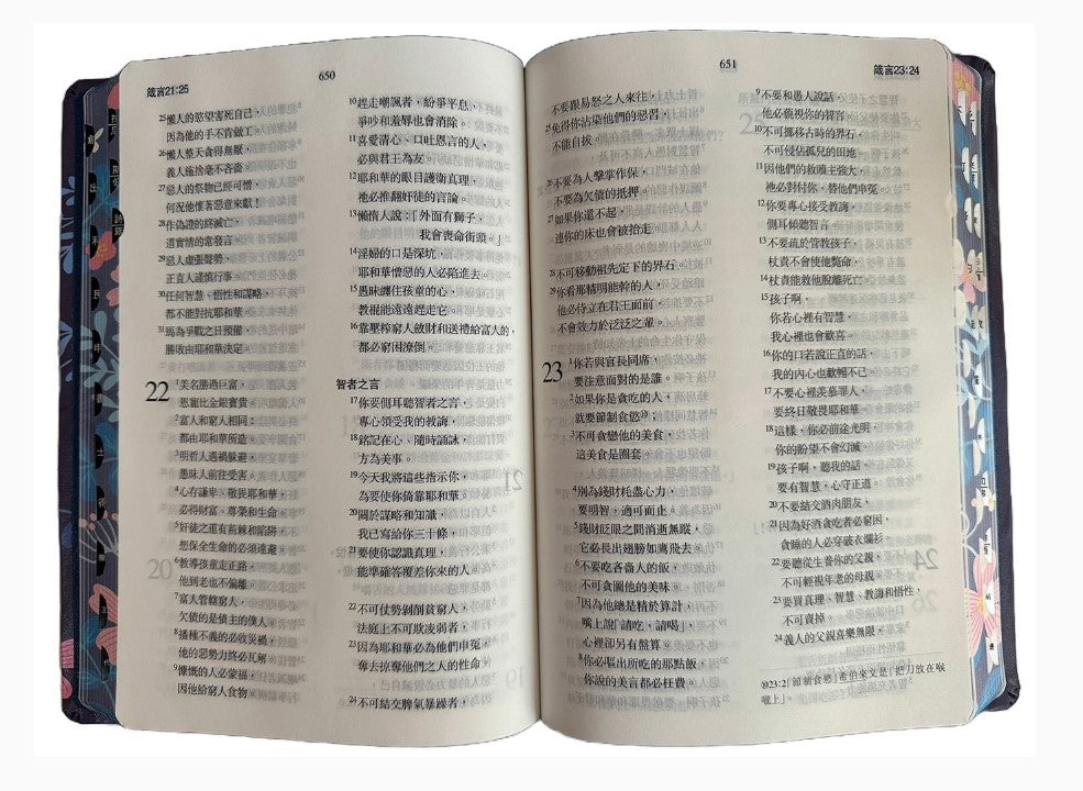聖經：當代譯本(深藍花卉翻口彩繪仿皮索引精裝)/圣经：当代译本(深蓝