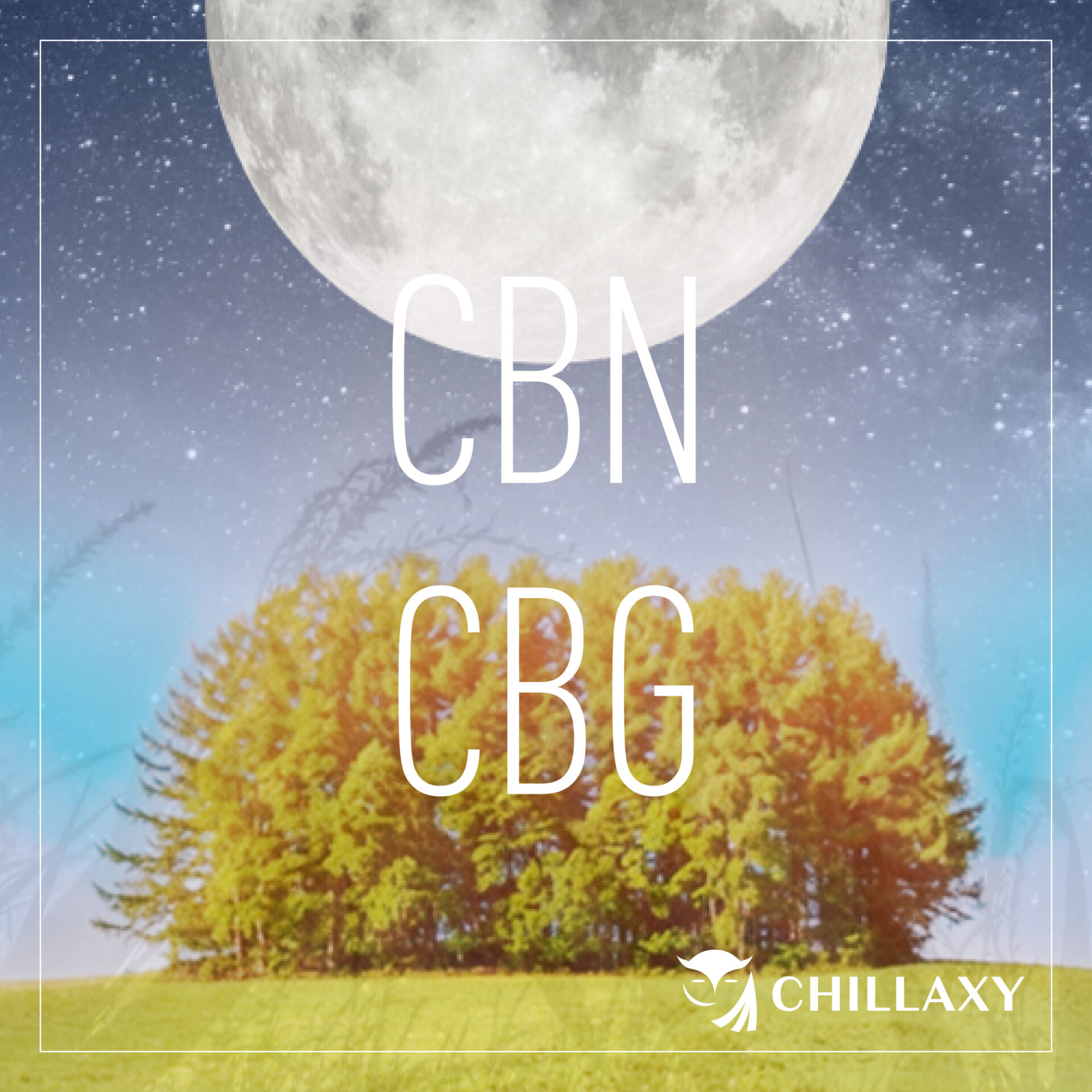 CHILLAXY CBD | CBD EDUCATION