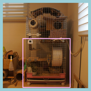 ケージ比較：KAWAIコンフォート60 or SANKOイージーホームハイメッシュ