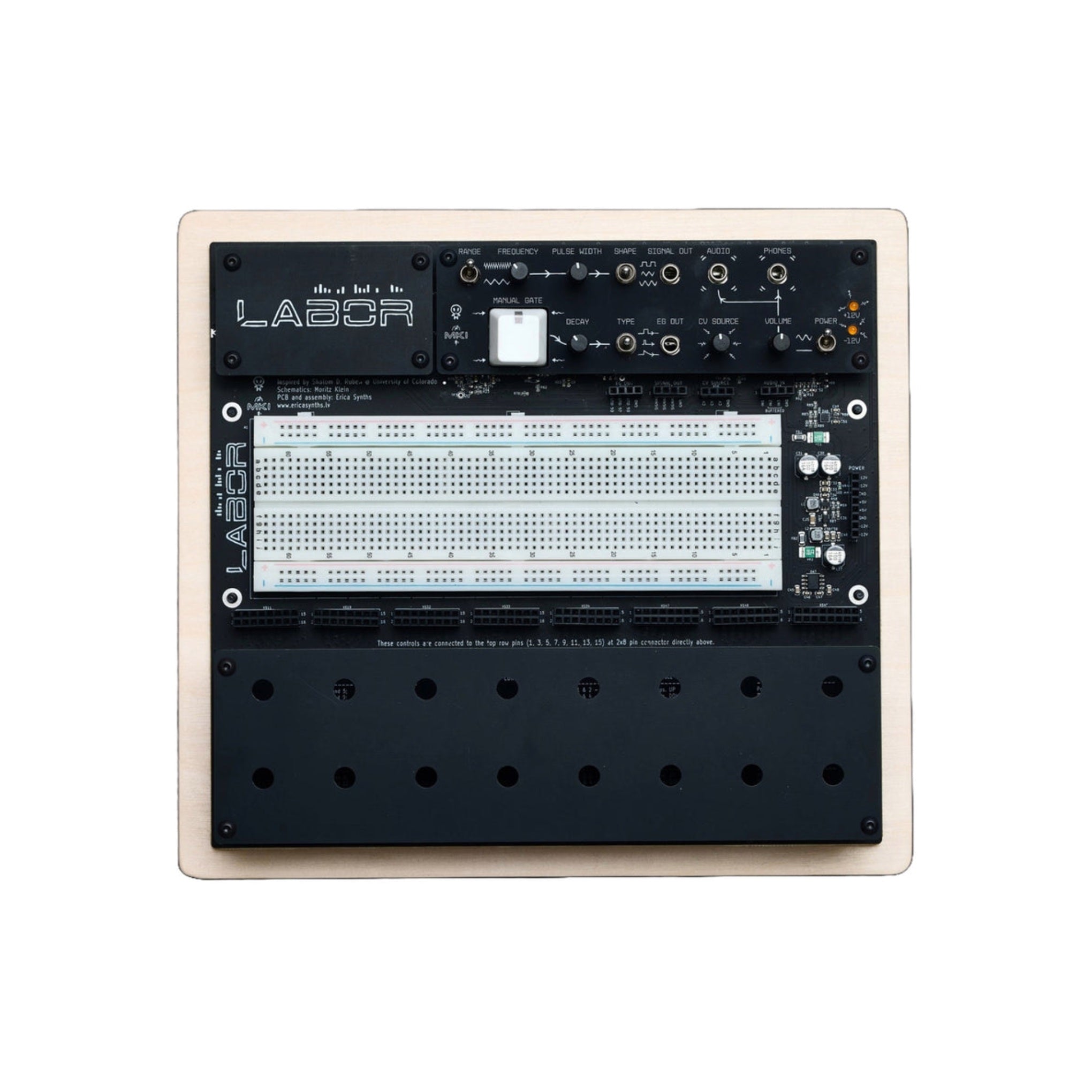 MKI x ES EDU DIY Labor – Cicada Sound