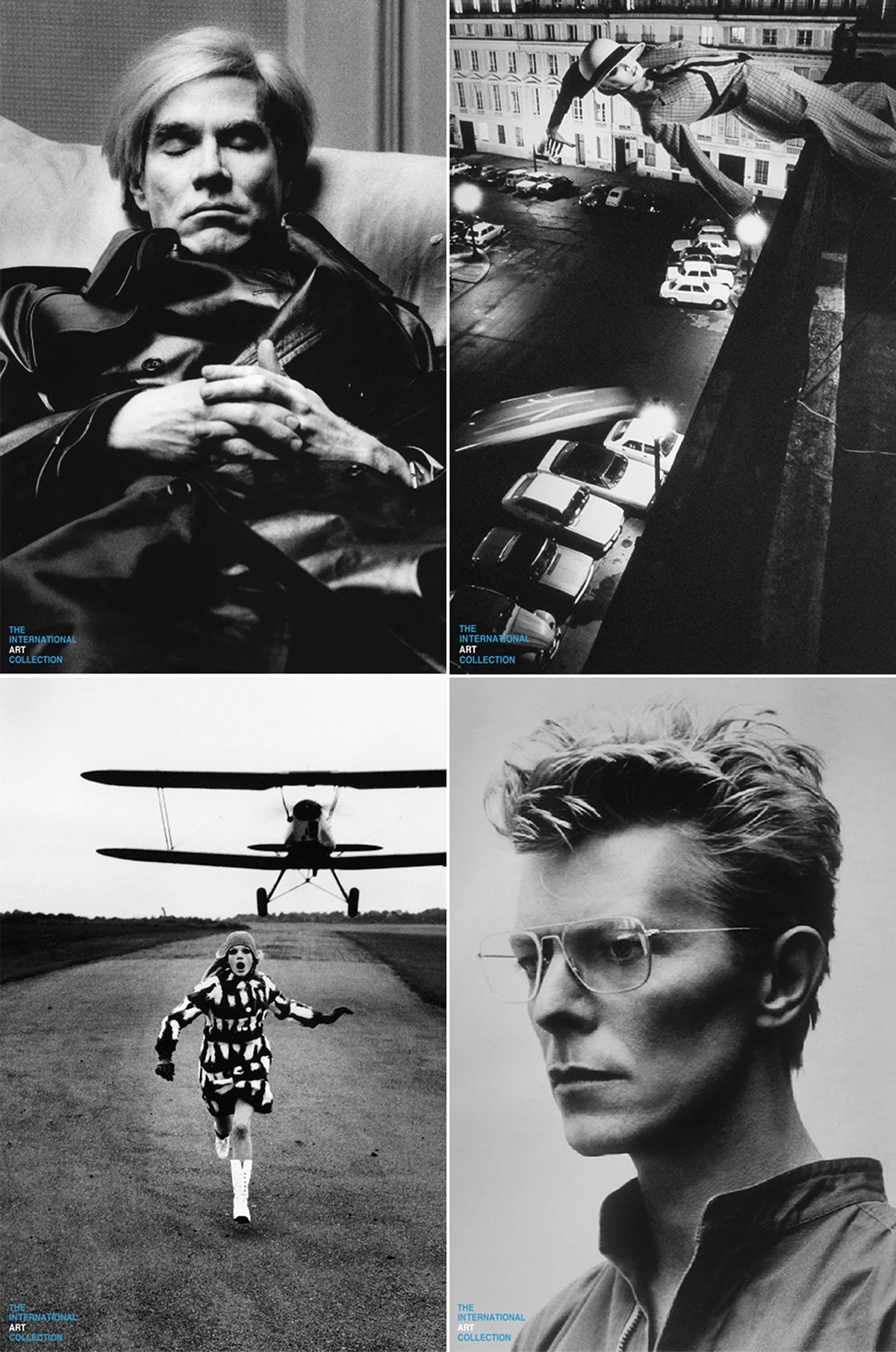 CICELY (シセリー)