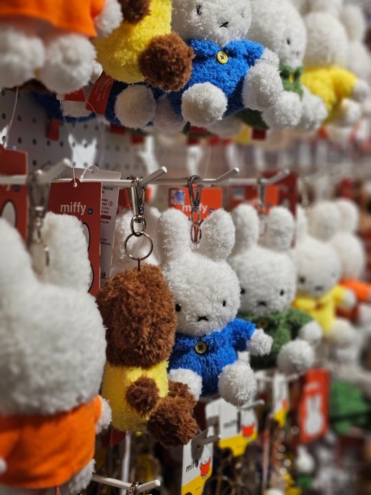 miffy store 慶州｜慶州中心部(歴史遺跡地区)(慶州)のショッピング店
