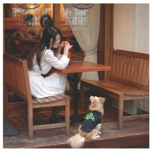 Me-imi ~Premium Edition~[CD] - 岡村靖幸 - UNIVERSAL MUSIC JAPAN