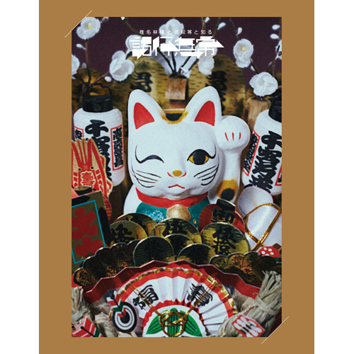 椎名林檎と彼奴等と知る諸行無常 [通常盤][DVD] - 椎名林檎