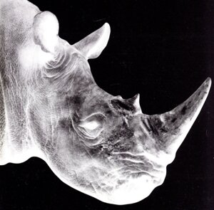 World's System Kitchen 中古CD | ブックオフ公式オンラインストア