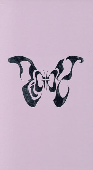 VICISSITUDES OF FORTUNE(豪華特別仕様) 中古CD | ブックオフ公式