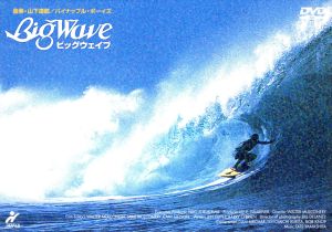 新品未開封 廃盤 DVD BIG WAVE ビッグ・ウェイブ 山下達郎 BIG WAVE