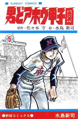 コミック全巻セット・まとめ買い】男どアホウ甲子園(全28巻)セット