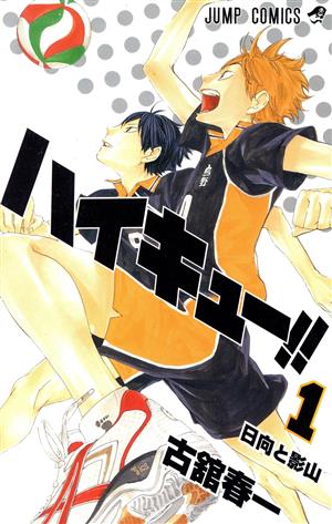 ハイキュー！！全巻セット 1巻〜45巻 ハイキュー!! 全45巻 新品セット