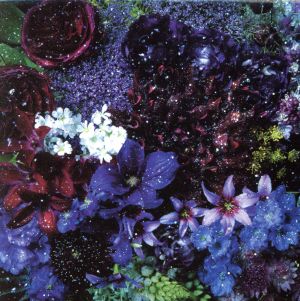 あなたに出会わなければ～夏雪冬花～/星屑ビーナス(初回生産限定盤