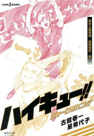 書籍全巻セット・まとめ買い】ハイキュー!!ショーセツバン!!(文庫版