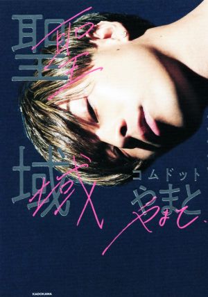 パラダイス・ガラージの時代(上巻) NYCクラブカルチャー・光と影 中古