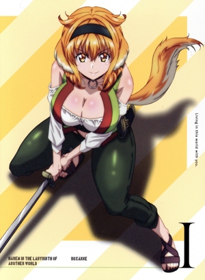 異世界迷宮でハーレムを Blu-ray BOX 上巻(通常版)(Blu-ray Disc) 中古