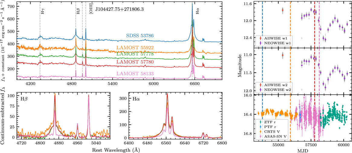 Newly Discovered Changing-look Active Galactic Nuclei from SDSS