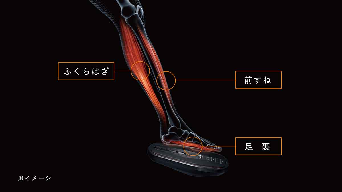 MTG EMSマシーン トレーニングギア SIXPAD Foot Fit 2｜ kikito[キキト