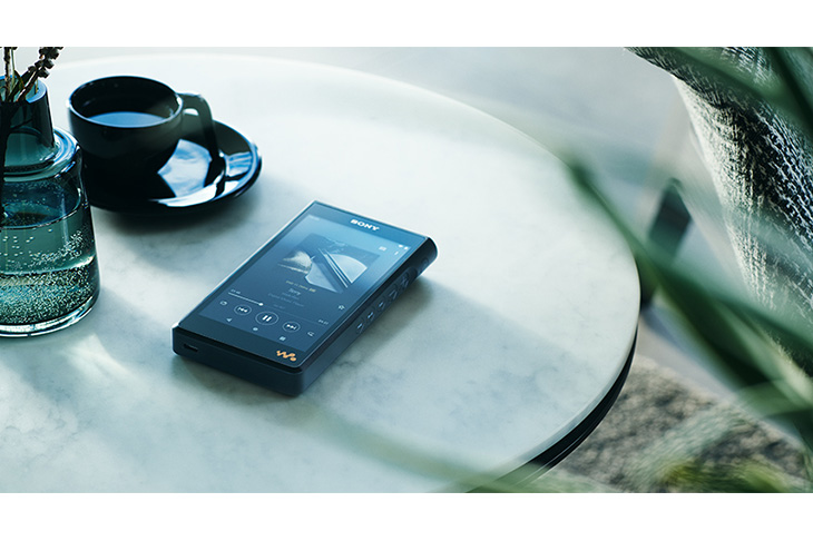 Sony WALKMAN (ウォークマン) WM1シリーズ ブラック NW-WM1AM2