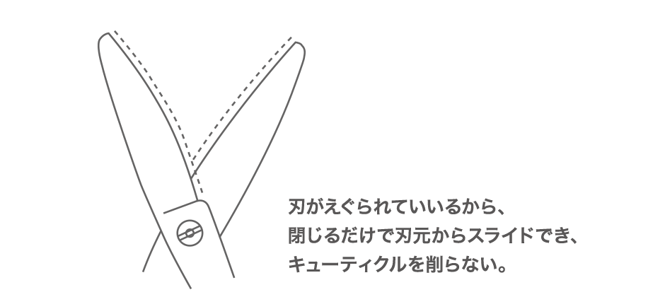 Acroleaf WIDE M-Medium | ミズタニシザーズ